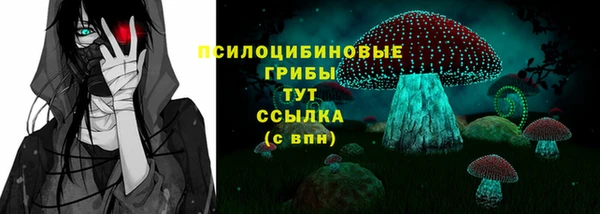 тгк Переславль-Залесский