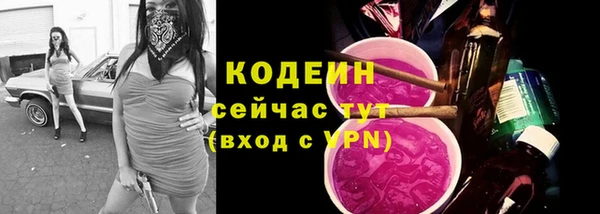 ешки Пересвет
