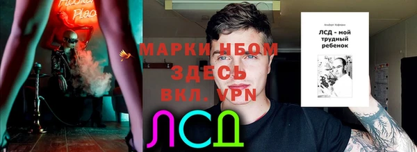 ешки Пересвет