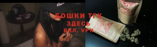 сатива Пестово