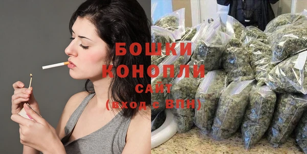 ешки Пересвет
