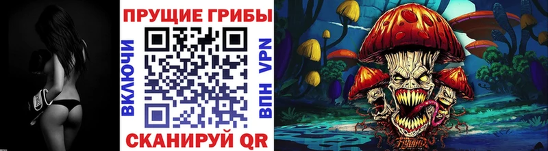 Галлюциногенные грибы GOLDEN TEACHER где купить Щёлково